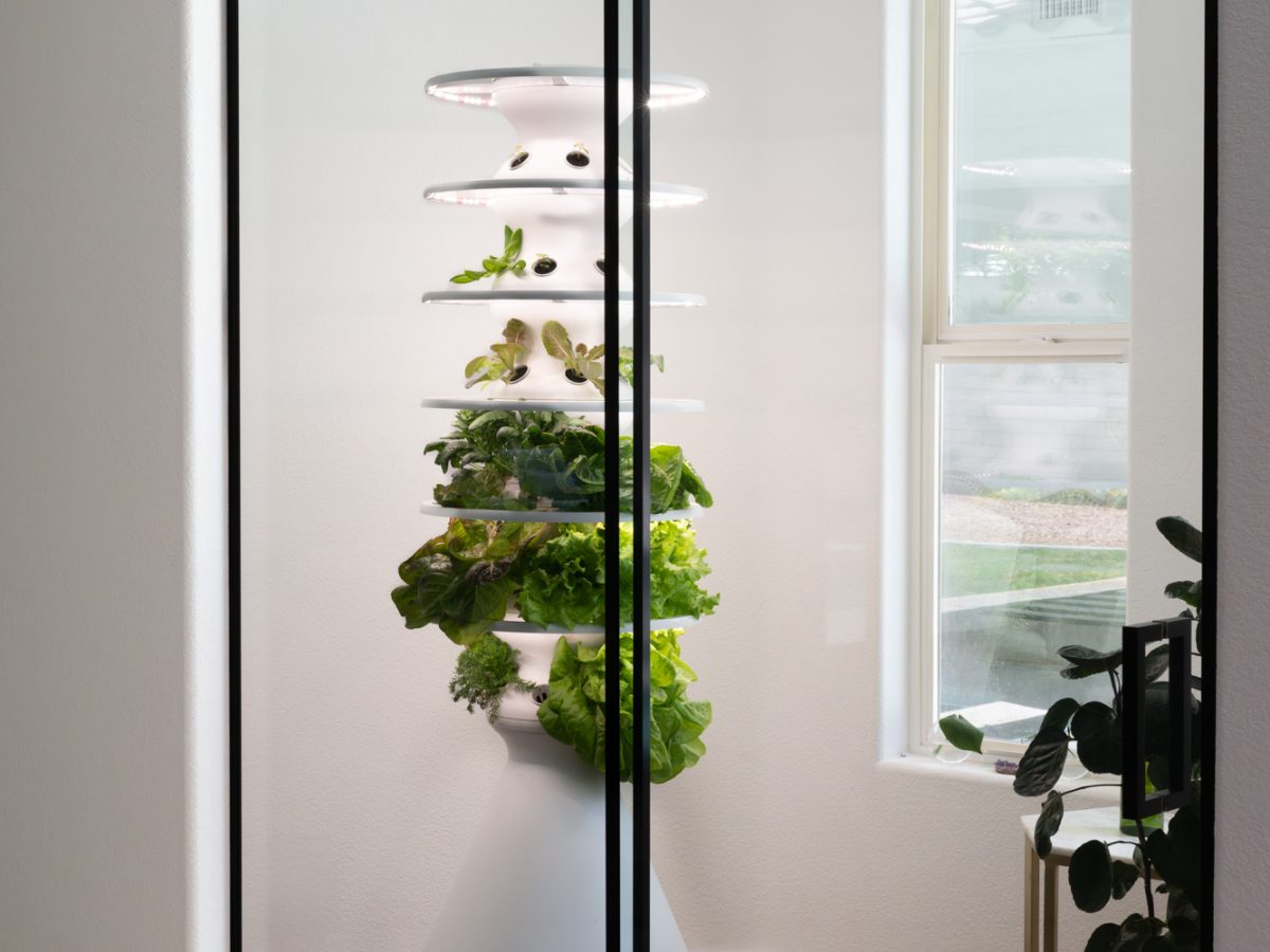 Glass-enclosed hydroponic tower garden with grow lighting and oak engineered flooring, Reveal Interior Design Las Vegas